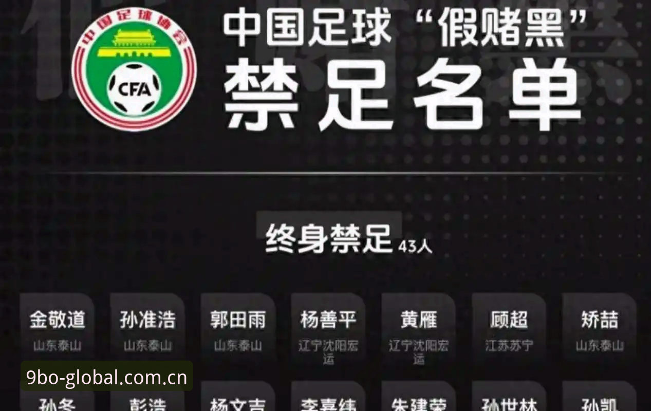 中国足协重拳出击：解读第三批禁足名单背后的足球生态治理实用指南